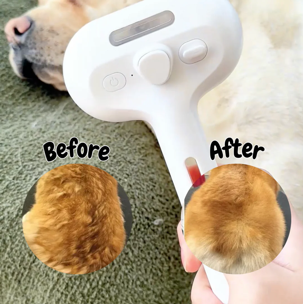 Squeekiez Viral Steam Brush