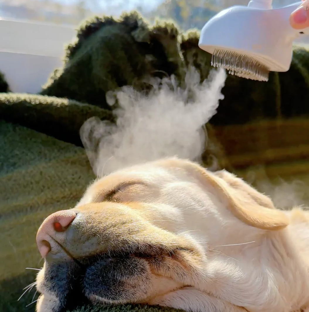 Squeekiez Viral Steam Brush