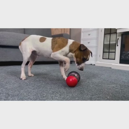 Squeekiez Interactive Feeder Toy