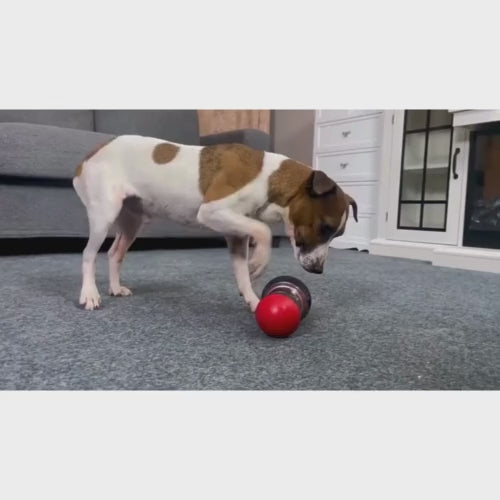 Squeekiez Interactive Feeder Toy